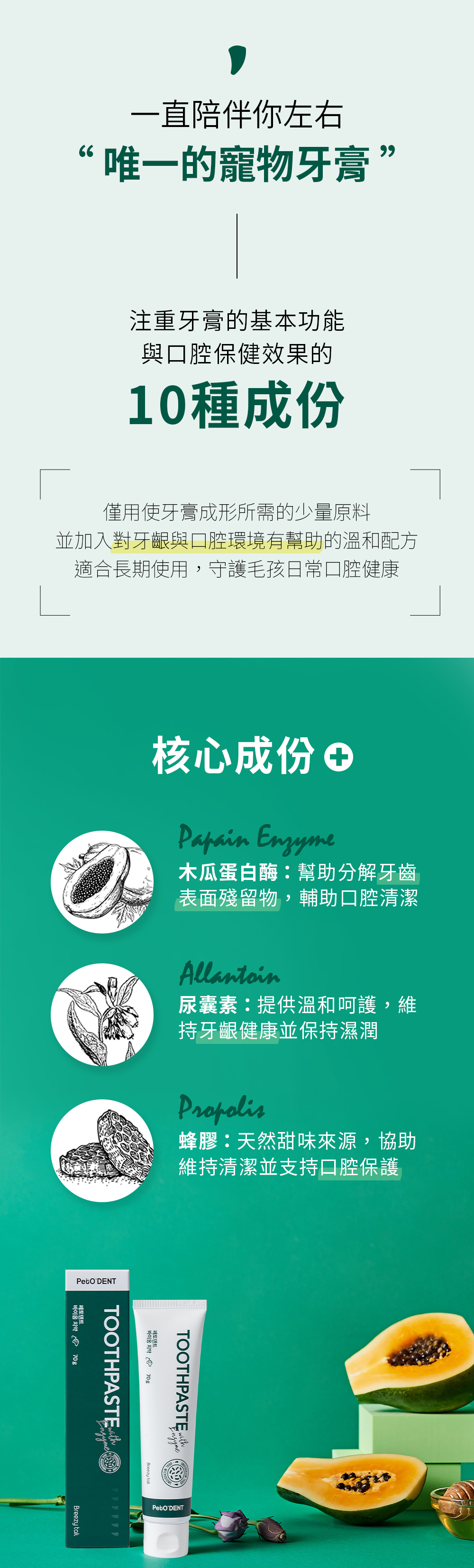 重新檢視寵物的口腔保健需求