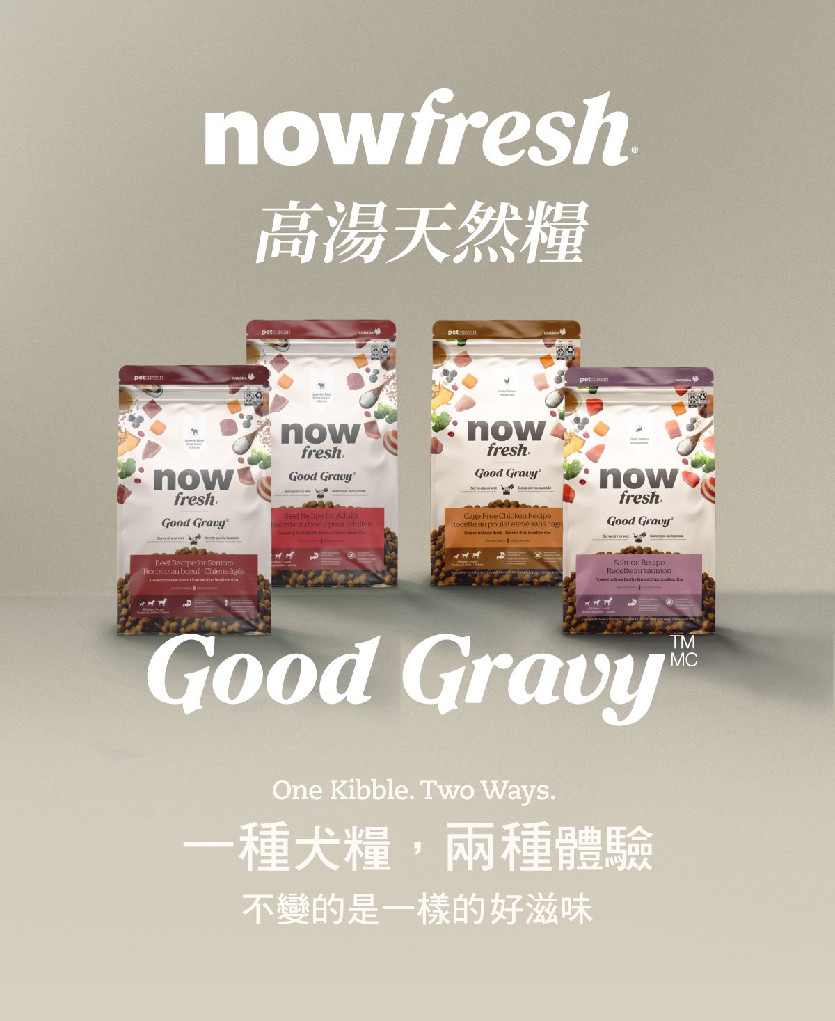 now高湯天然糧,一種犬糧兩種體驗。 now高湯天然糧,一種犬糧兩種體驗。