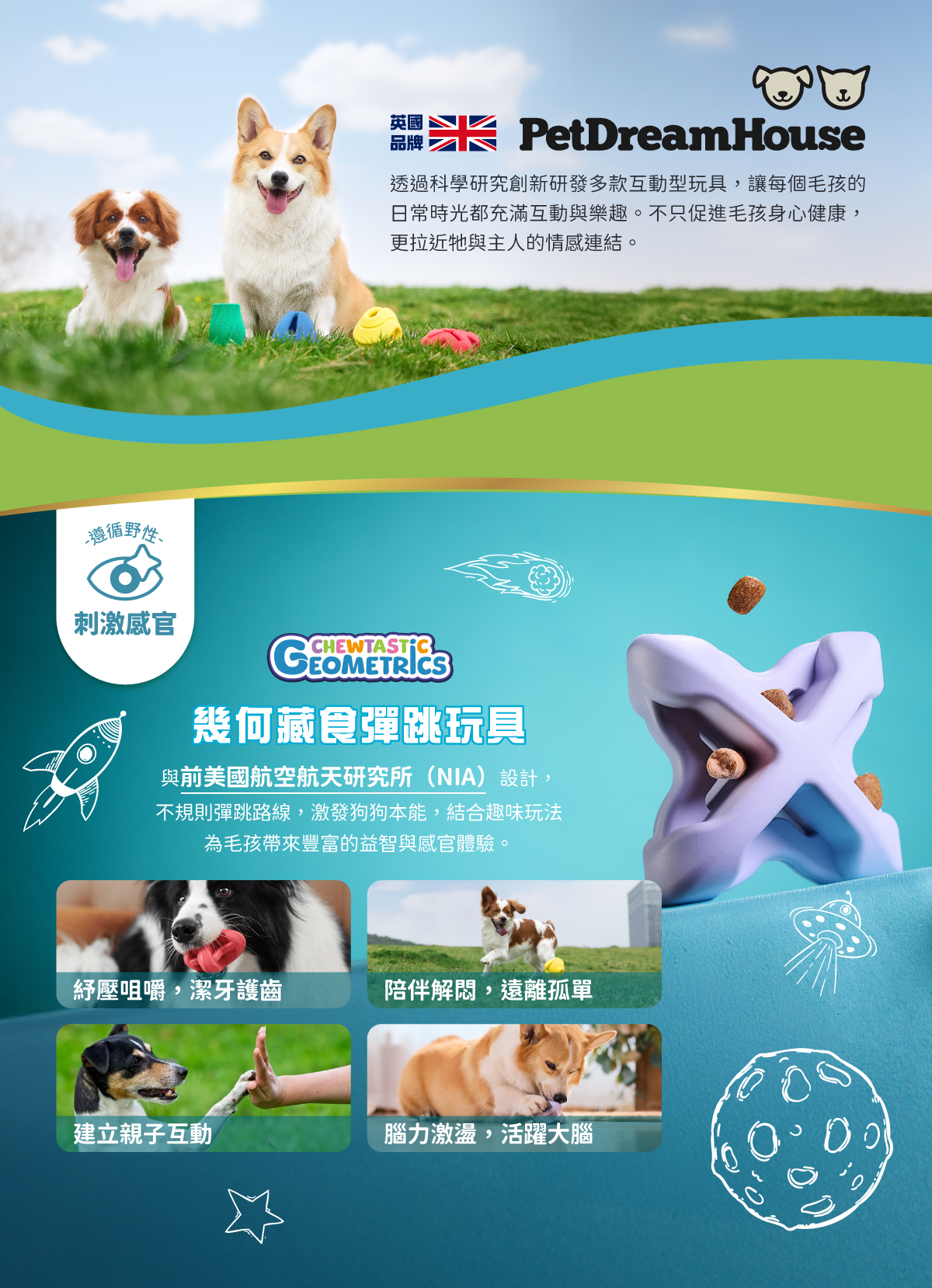 PetDreamHouse彈跳玩具，不規則彈跳設計，滿足狗狗追逐獵物的遊戲性。多樣化款式，可搭配藏食使用，給狗狗更豐富的遊戲體驗。