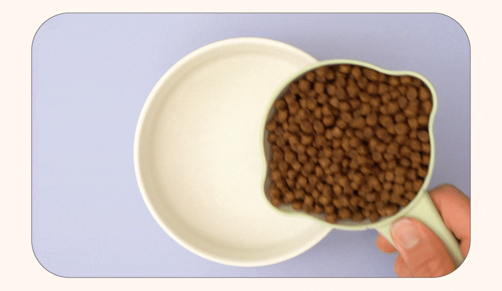 ow高湯天然糧加水示範以及試吃影片。